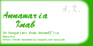 annamaria knab business card